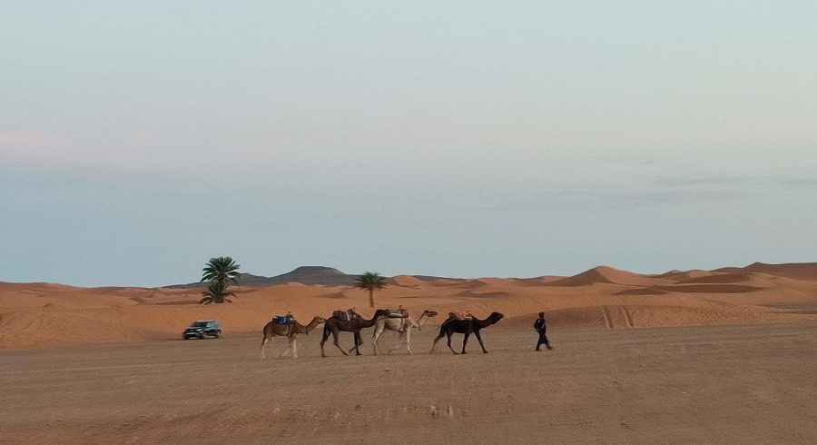 Viaje 9 días y 8 noches: De Marrakech al Gran Sur de Marruecos