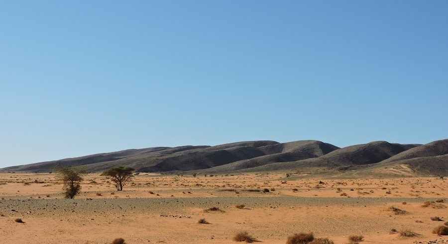 Viaje 3 días y 2 noche: De Marrakech al Desierto Sáhara